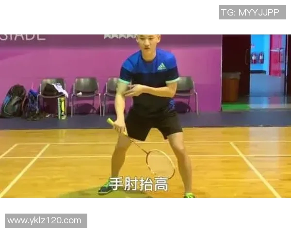 深圳羽毛球队区域防守战术解析与实战应用探讨