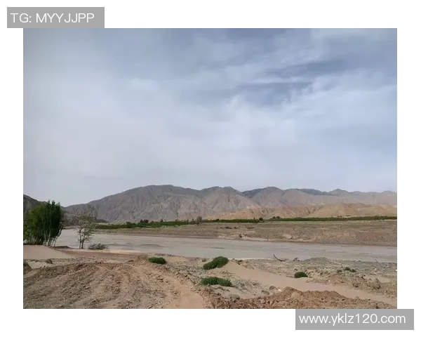 武汉网球队与成都网球队赛后复盘团队协作的成功与不足分析